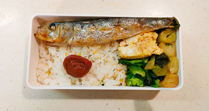 Salt-grilled sardine bento box