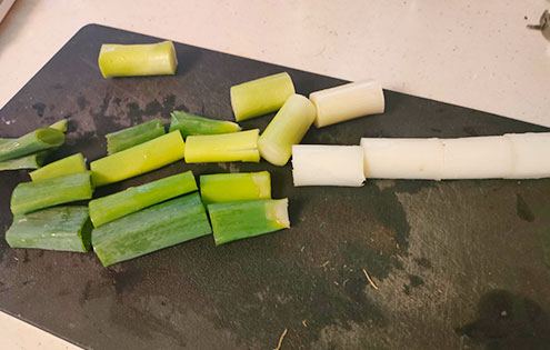 イワシの塩焼き弁当